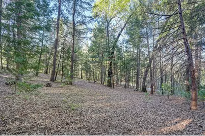 1033 R and R Place, Colfax, CA 95713 - Photo 61