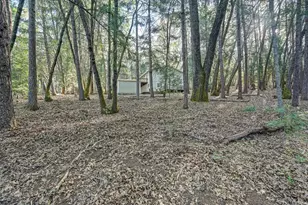 1033 R and R Pl, Colfax, CA 95713 - Photo 59