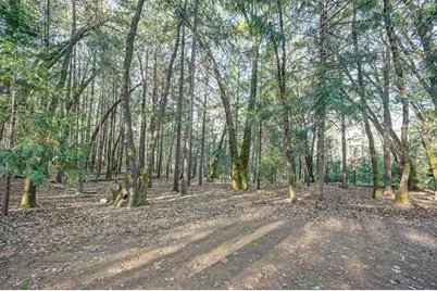 1033 R and R Place, Colfax, CA 95713 - Photo 59