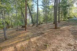 1033 R and R Pl, Colfax, CA 95713 - Photo 23