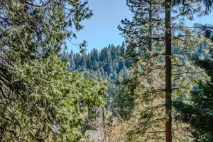 26290 Parkwood Dr, Pioneer, CA 95666 - Photo 55