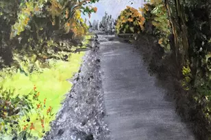 Wendy Way, Newcastle, CA 95658 - Photo 35