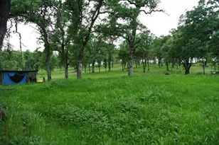 6385 McKeon Ponderosa Way, Foresthill, CA 95631 - Photo 43