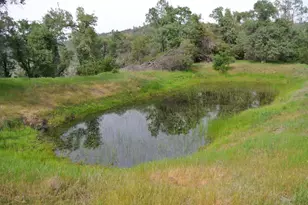 6385 McKeon Ponderosa Way, Foresthill, CA 95631 - Photo 7