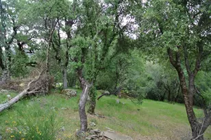 6385 McKeon Ponderosa Way, Foresthill, CA 95631 - Photo 31