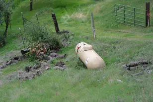 6385 McKeon Ponderosa Way, Foresthill, CA 95631 - Photo 29