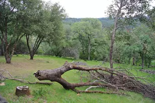 6385 McKeon Ponderosa Way, Foresthill, CA 95631 - Photo 31