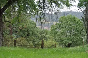 6385 McKeon Ponderosa Way, Foresthill, CA 95631 - Photo 11