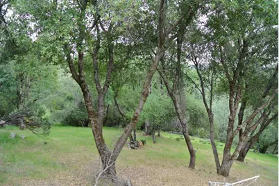 6385 McKeon Ponderosa Way, Foresthill, CA 95631 - Photo 35