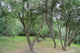 6385 McKeon Ponderosa Way, Foresthill, CA 95631 - Photo 35