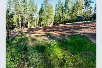 13279 Thoroughbred Loop, Grass Valley, CA 95949 - Photo 9