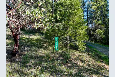 13279 Thoroughbred Loop, Grass Valley, CA 95949 - Photo 29