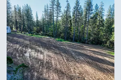 13279 Thoroughbred Loop, Grass Valley, CA 95949 - Photo 3