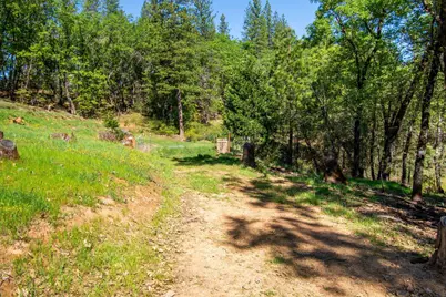 975 Dusty Road, Colfax, CA 95713 - Photo 27