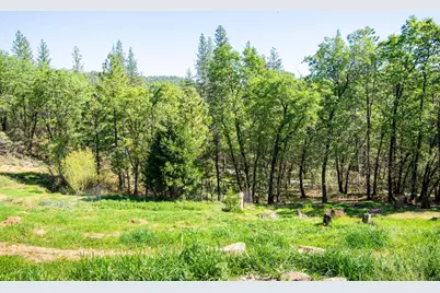975 Dusty Road, Colfax, CA 95701 - Photo 21