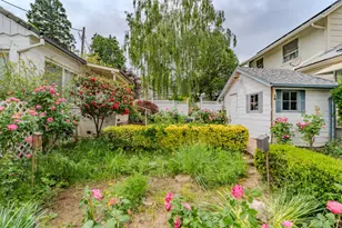 440 Stasal Ave, Jackson, CA 95642 - Photo 61