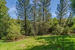 18848 State Hwy 88, Pine Grove, CA 95665 - Photo 45