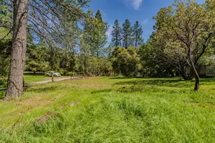 18848 State Hwy 88, Pine Grove, CA 95665 - Photo 33