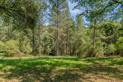 18848 State Highway 88, Pine Grove, CA 95665 - Photo 41