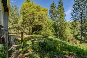 18848 State Hwy 88, Pine Grove, CA 95665 - Photo 53
