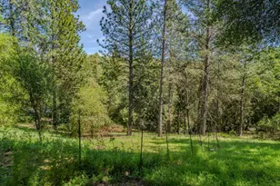 18848 State Hwy 88, Pine Grove, CA 95665 - Photo 43