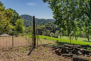 18848 State Hwy 88, Pine Grove, CA 95665 - Photo 47
