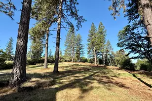 16824 Pine Grove Reservoir, Nevada City, CA 95959 - Photo 1