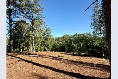 16824 Pine Grove Reservoir, Nevada City, CA 95959 - Photo 11