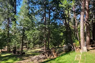 19812 Wanita Ln, Twain Harte, CA 95383 - Photo 35