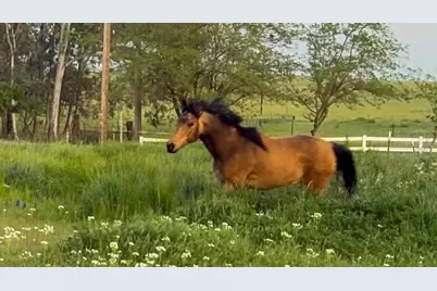 6949 Eric Lane, Wheatland, CA 95692 - Photo 5