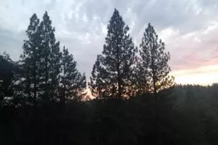 4368 Eazy Bird Way, Wilseyville, CA 95257 - Photo 9