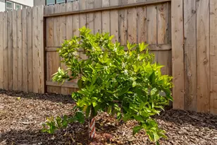 5017 Envy St, Roseville, CA 95747 - Photo 59