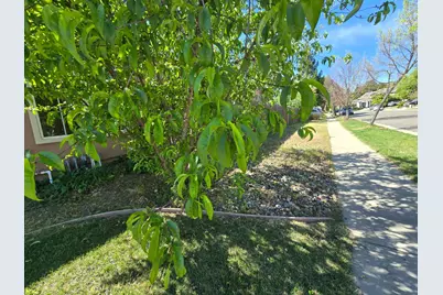 2368 Portola Street, West Sacramento, CA 95691 - Photo 15