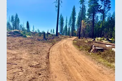 0 3.4 Ac Huggy Bear Lane, Grizzly Flats, CA 95636 - Photo 23