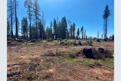 0 3.4 Ac Huggy Bear Lane, Grizzly Flats, CA 95636 - Photo 17