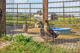 13512 Alta Mesa Rd, Galt, CA 95632 - Photo 75