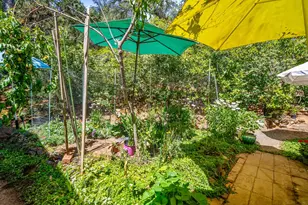 Old French Town Rd, Shingle Springs, CA 95682 - Photo 9