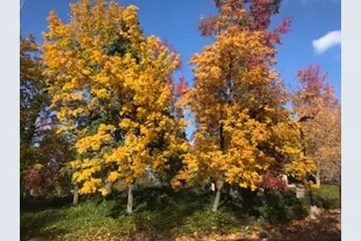 939 Fairway Ct, Murphys, CA 95247 - Photo 41