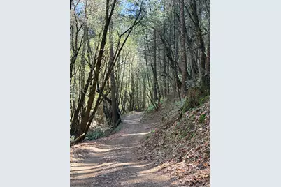 6400 Shoo Fly Road, Placerville, CA 95667 - Photo 7