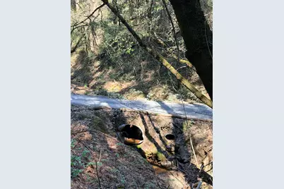 6400 Shoo Fly Road, Placerville, CA 95667 - Photo 13