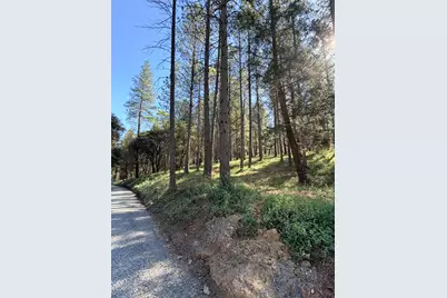 6400 Shoo Fly Road, Placerville, CA 95667 - Photo 5