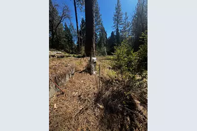 30927 Relief Hill Road, Nevada City, CA 95959 - Photo 25