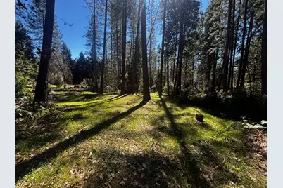 30927 Relief Hill Road, Nevada City, CA 95959 - Photo 11