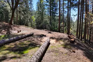 1961 Caprine Hill Trail, Pollock Pines, CA 95726 - Photo 71