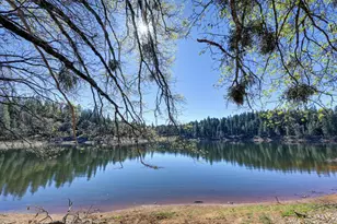 1961 Caprine Hill Trail, Pollock Pines, CA 95726 - Photo 77