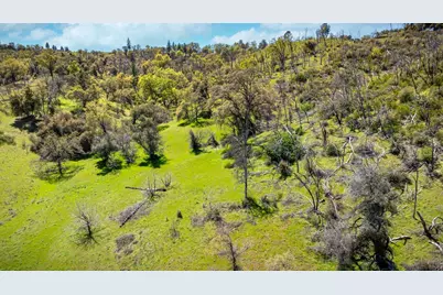 540 Music Gulch Road, Mokelumne Hill, CA 95245 - Photo 39