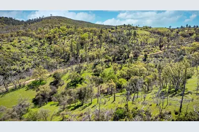 540 Music Gulch Road, Mokelumne Hill, CA 95245 - Photo 41