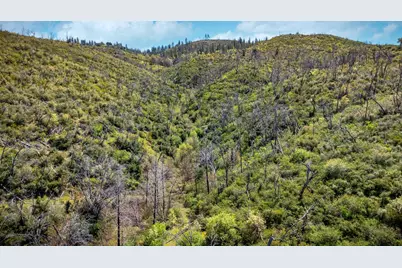 540 Music Gulch Road, Mokelumne Hill, CA 95245 - Photo 35