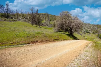 540 Music Gulch Road, Mokelumne Hill, CA 95245 - Photo 5