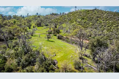 540 Music Gulch Road, Mokelumne Hill, CA 95245 - Photo 29